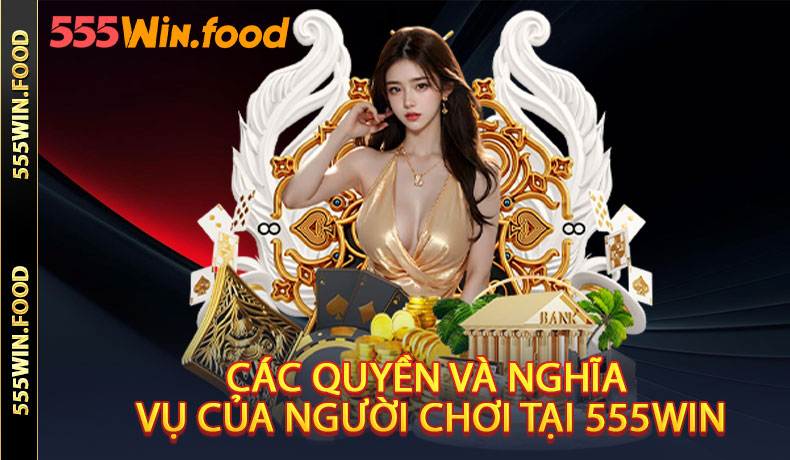 Các quyền và nghĩa vụ của người chơi tại 555Win